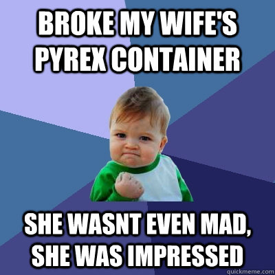 Broke my wife's pyrex container she wasnt even mad, she was impressed  Success Kid