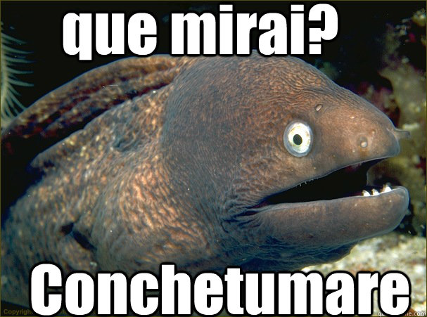 que mirai? Conchetumare  Bad Joke Eel