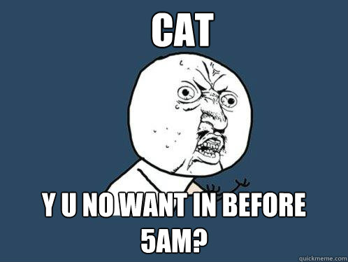 Cat y u no want in before 5am? - Cat y u no want in before 5am?  Y U No