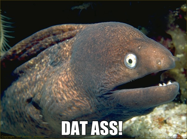  DAT ASS!   Bad Joke Eel