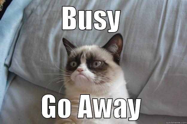 BUSY GO AWAY Grumpy Cat