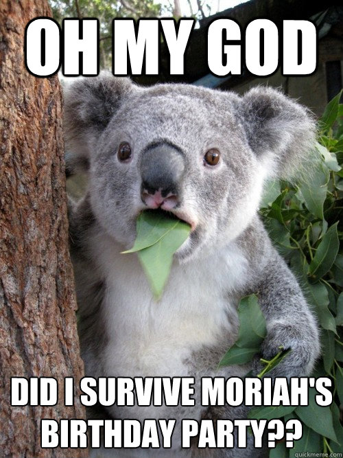 Oh My GOD did i survive Moriah's birthday party?? - Oh My GOD did i survive Moriah's birthday party??  koala bear