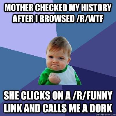 Mother checked my history after I browsed /r/wtf she clicks on a /r/funny link and calls me a dork  Success Kid