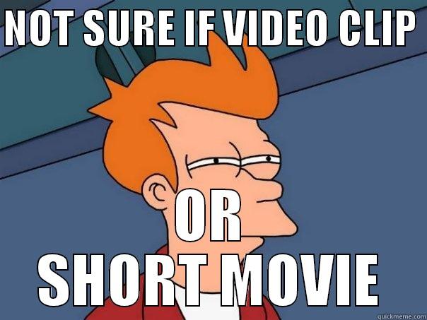 NOT SURE IF VIDEO CLIP  OR SHORT MOVIE Futurama Fry