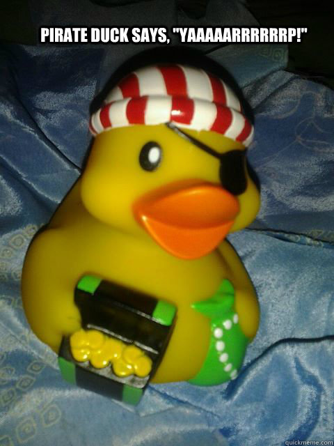 pirate duck says, 
