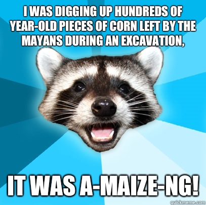 I was digging up hundreds of year-old pieces of corn left by the Mayans during an excavation,  It was a-maize-ng!  Lame Pun Coon