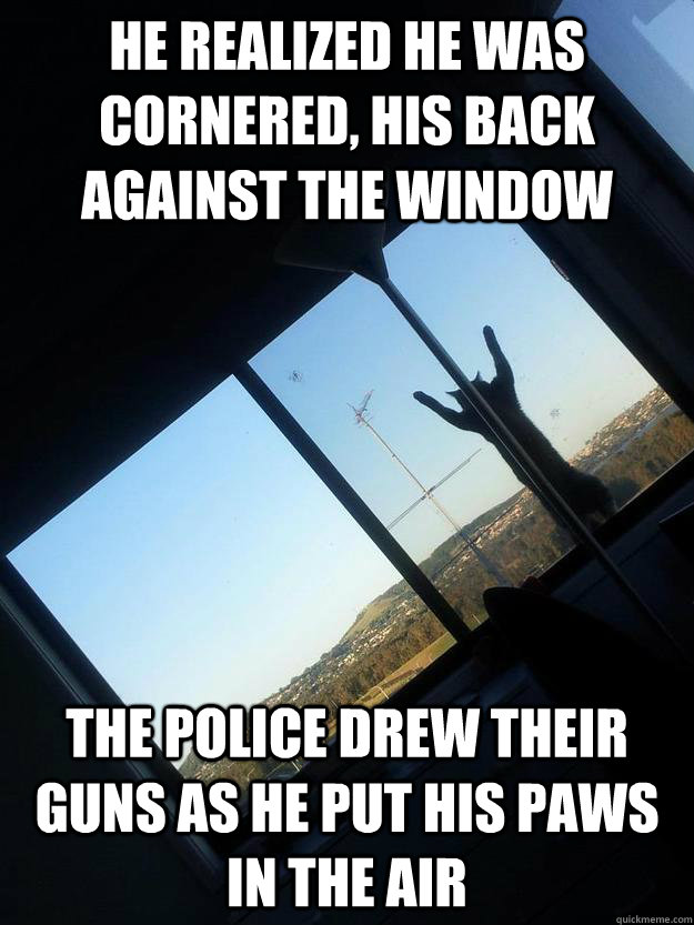 He realized he was cornered, his back against the window The police drew their guns as he put his paws in the air - He realized he was cornered, his back against the window The police drew their guns as he put his paws in the air  Misc