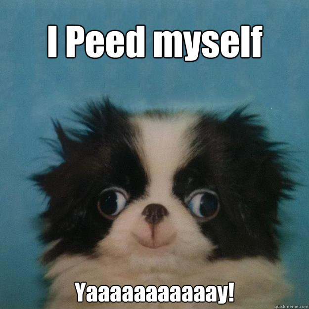 I Peed myself Yaaaaaaaaaaay! - I Peed myself Yaaaaaaaaaaay!  Megusta Puppy