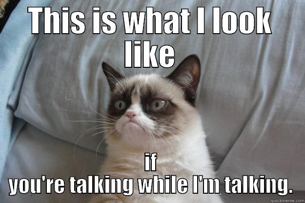 THIS IS WHAT I LOOK LIKE IF YOU'RE TALKING WHILE I'M TALKING. Grumpy Cat