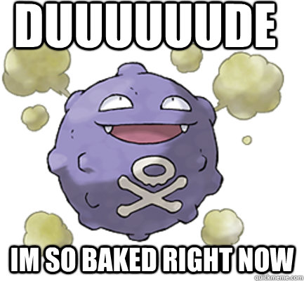 duuuuuude im so baked right now  - duuuuuude im so baked right now   high pokemon