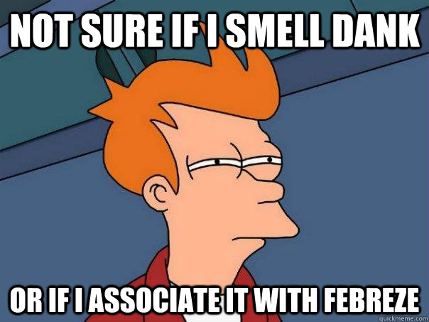 Not sure if i smell dank Or if I associate it with febreze  Futurama Fry