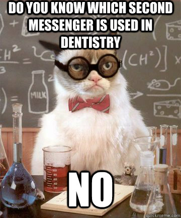 Do you know which second messenger is used in dentistry  no - Do you know which second messenger is used in dentistry  no  Grumpy Chemistry Cat