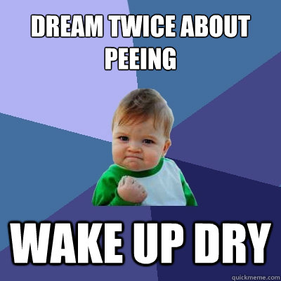 Dream twice about peeing wake up dry  Success Kid