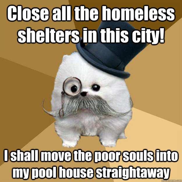 Close all the homeless shelters in this city! I shall move the poor souls into my pool house straightaway - Close all the homeless shelters in this city! I shall move the poor souls into my pool house straightaway  Philanthropist Pomeranian