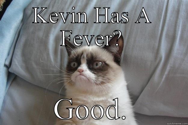 KEVIN HAS A FEVER? GOOD. Grumpy Cat