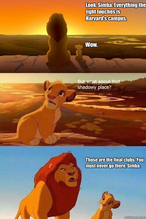 Look, Simba. Everything the light touches is 
Harvard's campus. Wow. Those are the final clubs. You must never go there, Simba.   Lion King Shadowy Place