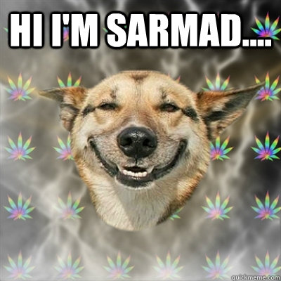 HI i'm sarmad....   Stoner Dog