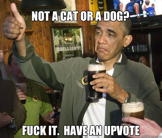 Not a cat or a dog? Fuck it.  Have an upvote  Upvoting Obama