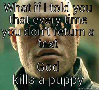 Ernie  - WHAT IF I TOLD YOU THAT EVERY TIME YOU DON'T RETURN A TEXT GOD KILLS A PUPPY Matrix Morpheus