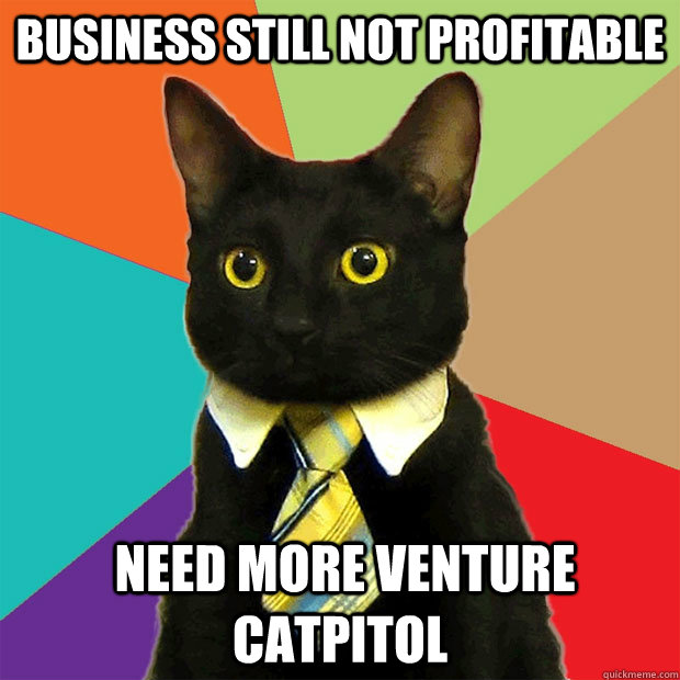 business still not profitable  need more venture catpitol  Business Cat