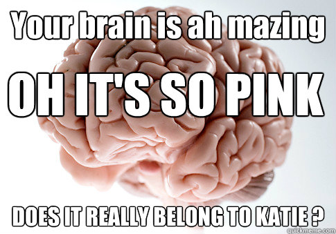 Your brain is ah mazing DOES IT REALLY BELONG TO KATIE ? OH IT'S SO PINK  Scumbag Brain