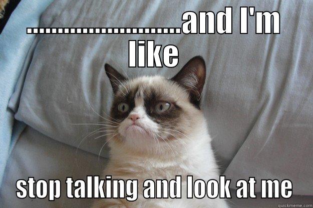 .........................AND I'M LIKE STOP TALKING AND LOOK AT ME Grumpy Cat