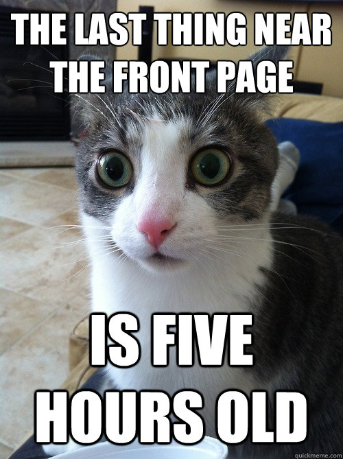 the last thing near the front page is five hours old  Sudden Clarity Cat