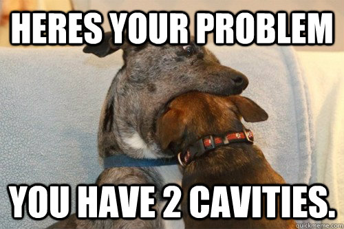 Heres your problem You have 2 cavities.  - Heres your problem You have 2 cavities.   Farsighted dog dentist