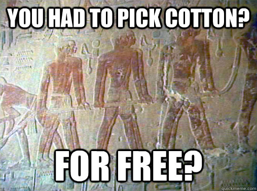 You had to pick cotton? for free? - You had to pick cotton? for free?  Really Unimpressed Slave