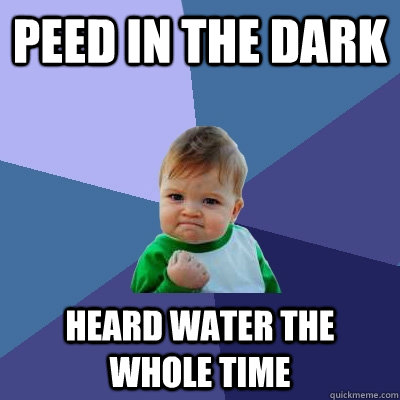 peed in the dark heard water the whole time  Success Kid