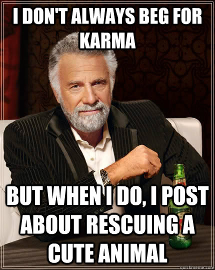 I don't always beg for karma But when I do, I post about rescuing a cute animal  The Most Interesting Man In The World