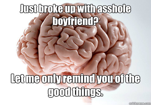 Just broke up with asshole boyfriend?  Let me only remind you of the good things.   Scumbag Brain