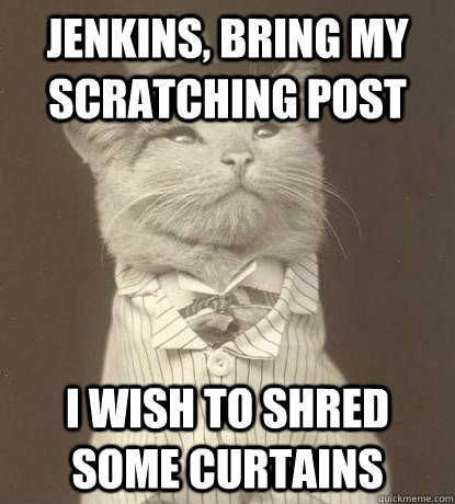 Jenkins, bring my scratching post i wish to shred some curtains  Aristocat