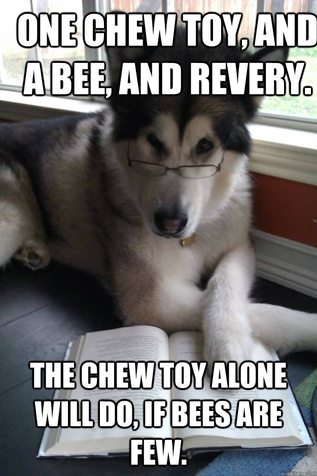 One chew toy, and a bee, And revery. The chew toy alone will do, If bees are few.  Condescending Literary Pun Dog