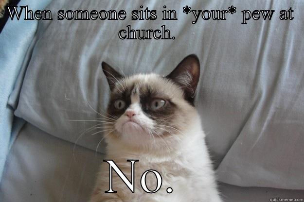 WHEN SOMEONE SITS IN *YOUR* PEW AT CHURCH.  NO.  Grumpy Cat