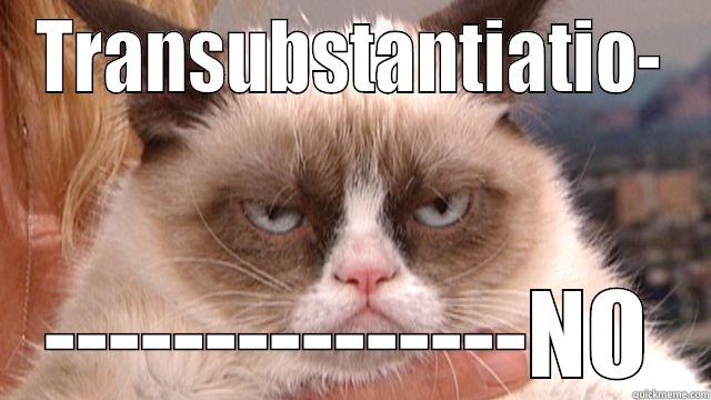 Grumpy Cat Transubstantiation - TRANSUBSTANTIATIO- ---------------NO Misc