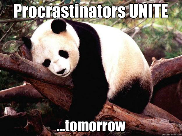 Procrastinators UNITE ...tomorrow  Procrastination Panda