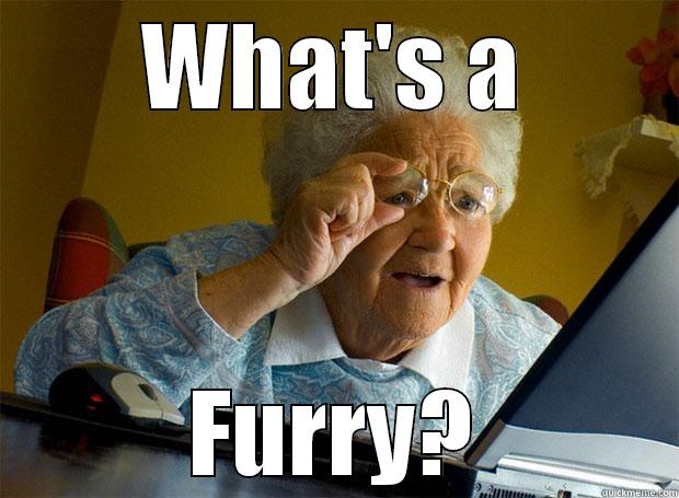 WHAT'S A FURRY? Grandma finds the Internet