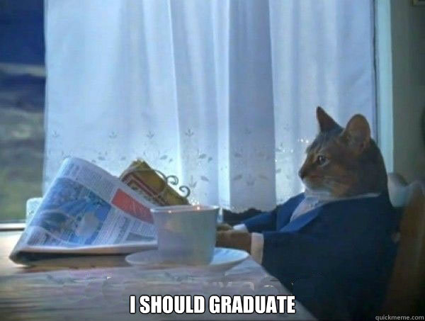  I should graduate  morning realization newspaper cat meme