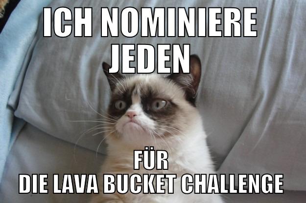 ICH NOMINIERE JEDEN - ICH NOMINIERE JEDEN FÜR DIE LAVA BUCKET CHALLENGE Grumpy Cat