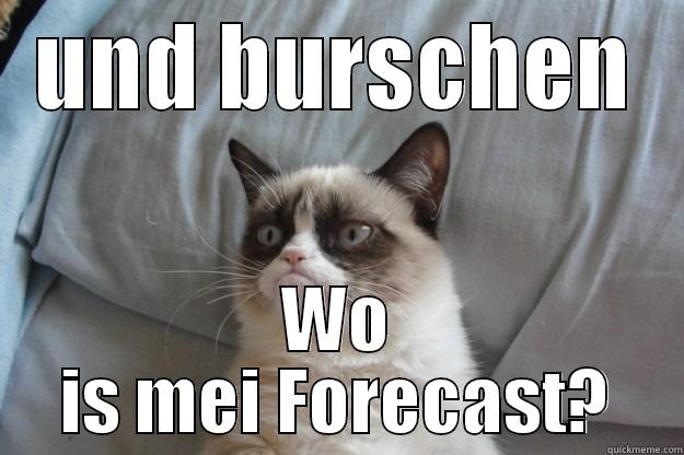 UND BURSCHEN WO IS MEI FORECAST? Grumpy Cat