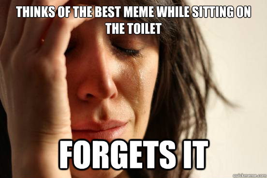 Thinks of the best meme while sitting on the toilet  forgets it   First World Problems