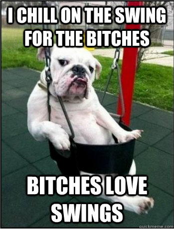 I chill on the swing for the bitches bitches love swings  Casual Bulldog