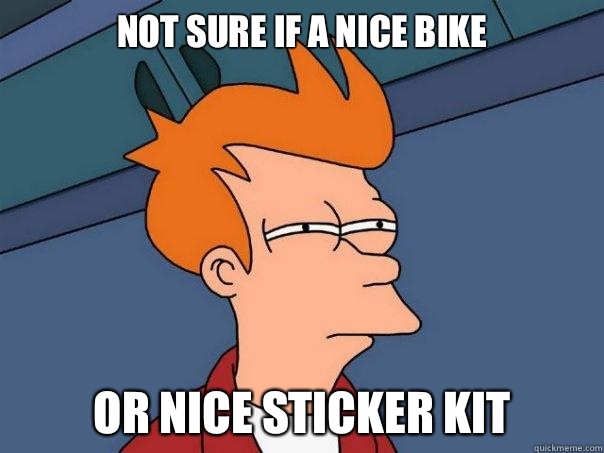 Not sure if a nice bike or nice sticker kit  Futurama Fry