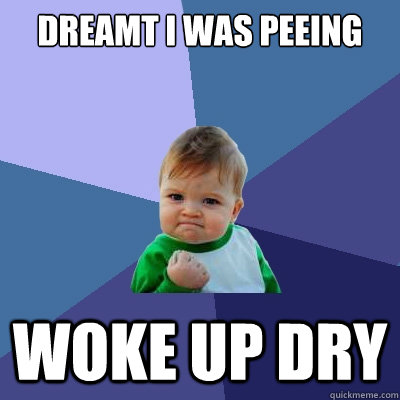 dreamt i was peeing woke up dry  Success Kid