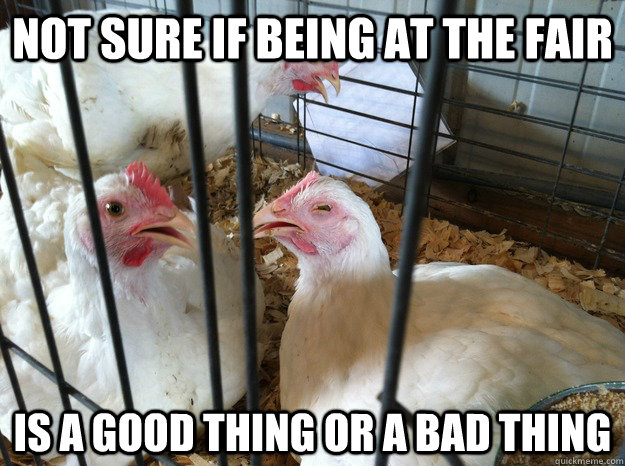 Not sure if being at the fair is a good thing or a bad thing - Not sure if being at the fair is a good thing or a bad thing  Skeptical Chicken