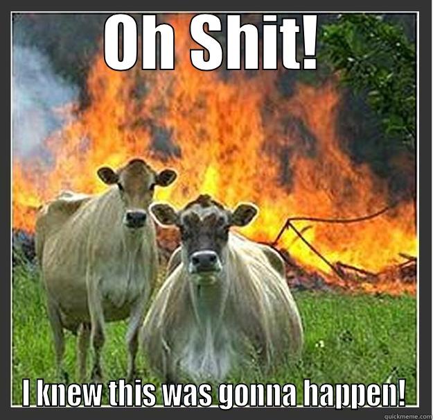 OH SHIT! I KNEW THIS WAS GONNA HAPPEN! Evil cows