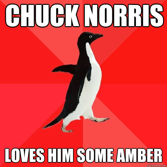 Chuck Norris loves him some amber  Socially Awesome Penguin