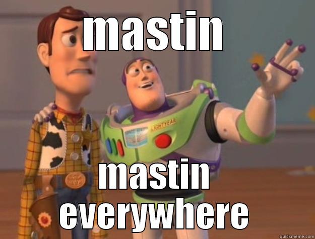 MASTIN MASTIN EVERYWHERE Toy Story