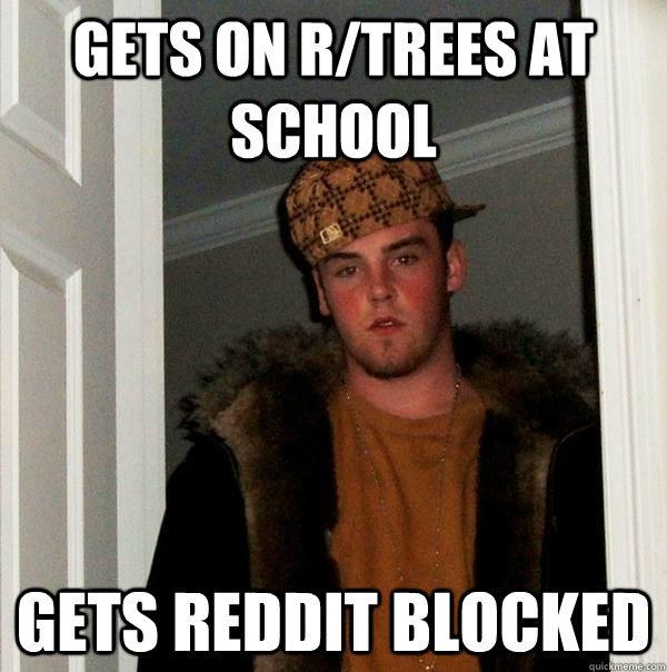 Gets on r/trees at school gets reddit blocked - Gets on r/trees at school gets reddit blocked  Scumbag Steve